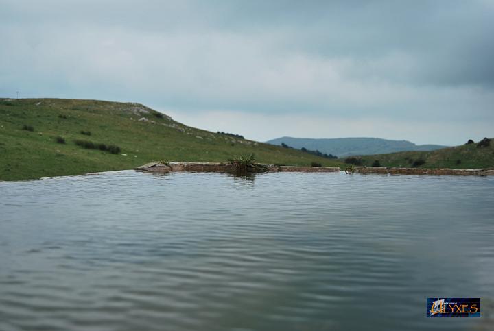 abbeveratoio sorgente acqua di lepre.JPG